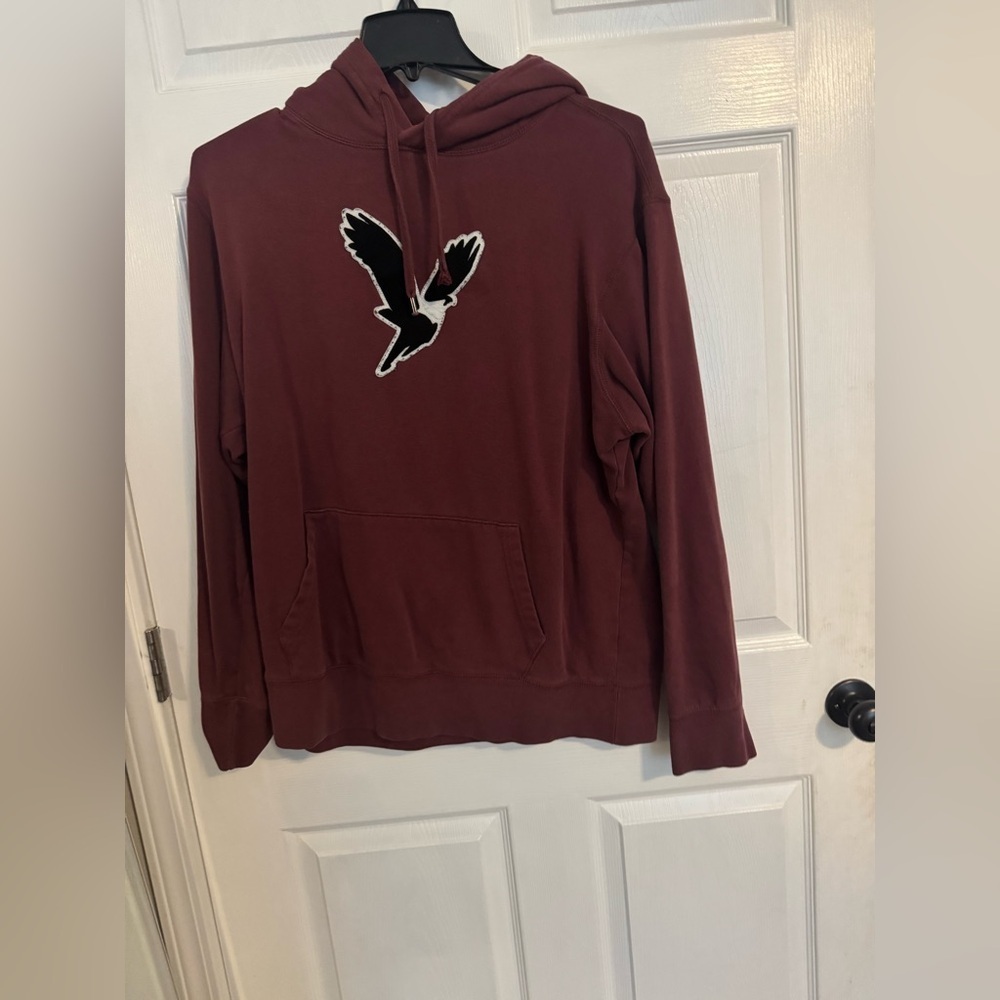 American Eagle Outfitters Men's Hoodie Size Large Tall